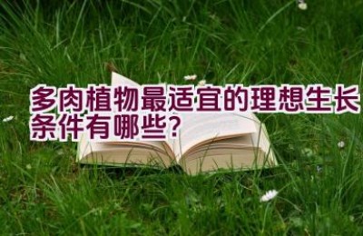 多肉植物最适宜的理想生长条件有哪些？