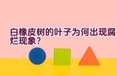 白橡皮树的叶子为何出现腐烂现象？