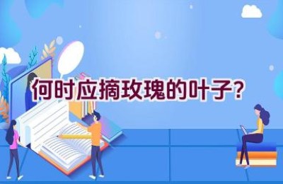 何时应摘玫瑰的叶子？