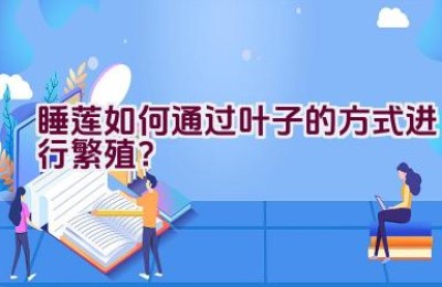 睡莲如何通过叶子的方式进行繁殖？