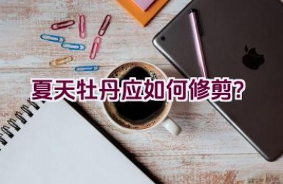 夏天牡丹应如何修剪？