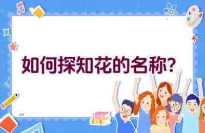 如何探知花的名称？