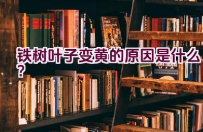 铁树叶子变黄的原因是什么？