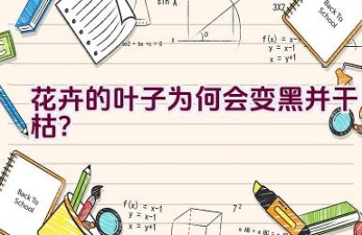 花卉的叶子为何会变黑并干枯？