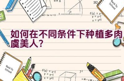 如何在不同条件下种植多肉虞美人？