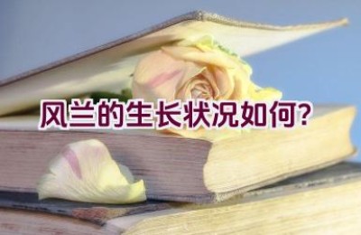 风兰的生长状况如何？