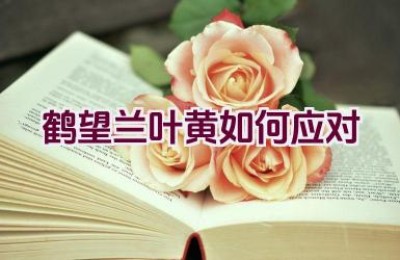 鹤望兰叶黄如何应对