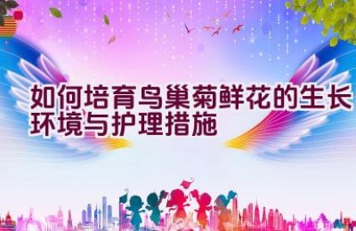 如何培育鸟巢菊鲜花的生长环境与护理措施