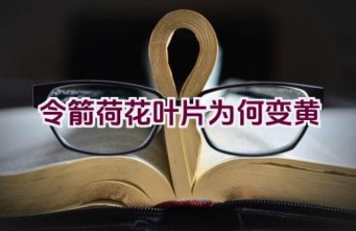 令箭荷花叶片为何变黄