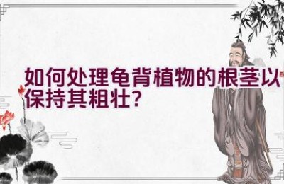 如何处理龟背植物的根茎以保持其粗壮？