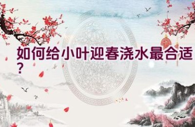 如何给小叶迎春浇水最合适？