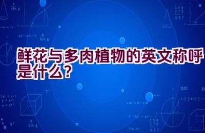 鲜花与多肉植物的英文称呼是什么？