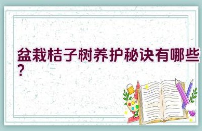 盆栽桔子树养护秘诀有哪些？