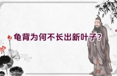 龟背为何不长出新叶子？