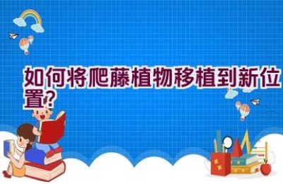如何将爬藤植物移植到新位置？