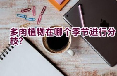 多肉植物在哪个季节进行分枝？
