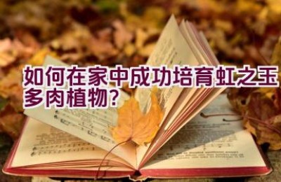 如何在家中成功培育虹之玉多肉植物？