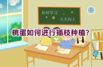 桃蛋如何进行插枝种植？