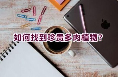 如何找到珍贵多肉植物？