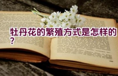 牡丹花的繁殖方式是怎样的？
