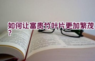 如何让富贵竹叶片更加繁茂？