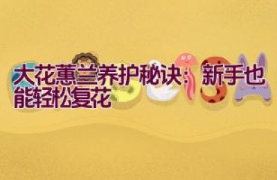 大花蕙兰养护秘诀：新手也能轻松复花
