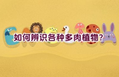 如何辨识各种多肉植物？