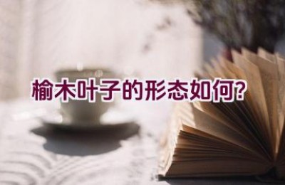 榆木叶子的形态如何？
