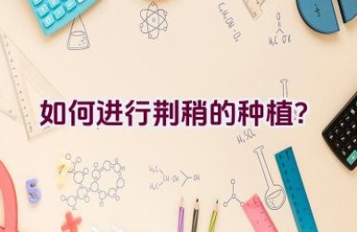 如何进行荆稍的种植？