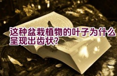 这种盆栽植物的叶子为什么呈现出齿状？