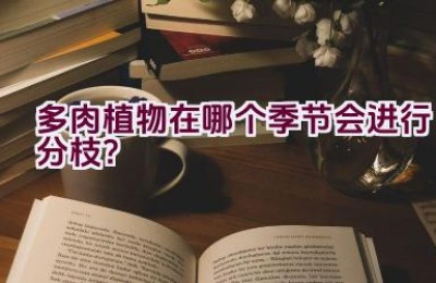 多肉植物在哪个季节会进行分枝？