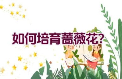 如何培育蔷薇花？