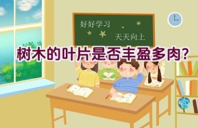 树木的叶片是否丰盈多肉？