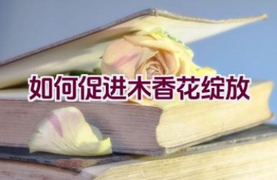 如何促进木香花绽放