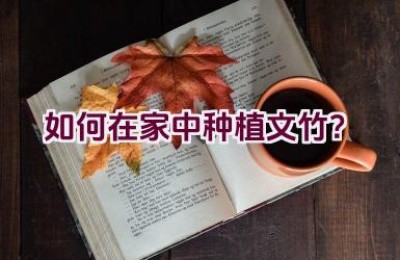 如何在家中种植文竹？