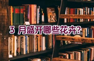 3月盛开哪些花卉？
