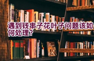 遇到钱串子花叶子问题该如何处理？