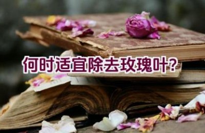 何时适宜除去玫瑰叶？