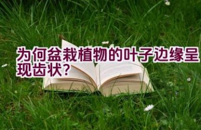 为何盆栽植物的叶子边缘呈现齿状？