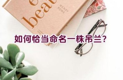 如何恰当命名一株吊兰？