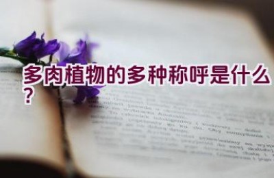 “多肉植物的多种称呼是什么？”