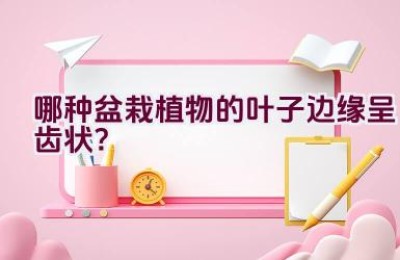 哪种盆栽植物的叶子边缘呈齿状？