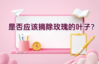 是否应该摘除玫瑰的叶子？