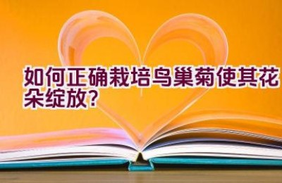 如何正确栽培鸟巢菊使其花朵绽放？