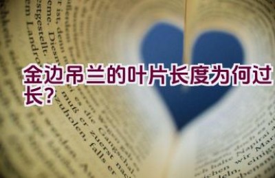 金边吊兰的叶片长度为何过长？