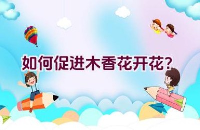 如何促进木香花开花？