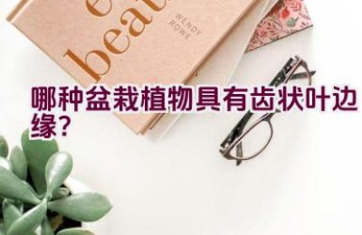 哪种盆栽植物具有齿状叶边缘？