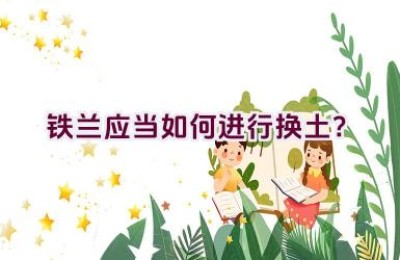 铁兰应当如何进行换土？