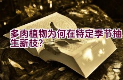 多肉植物为何在特定季节抽生新枝？
