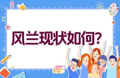 风兰现状如何？